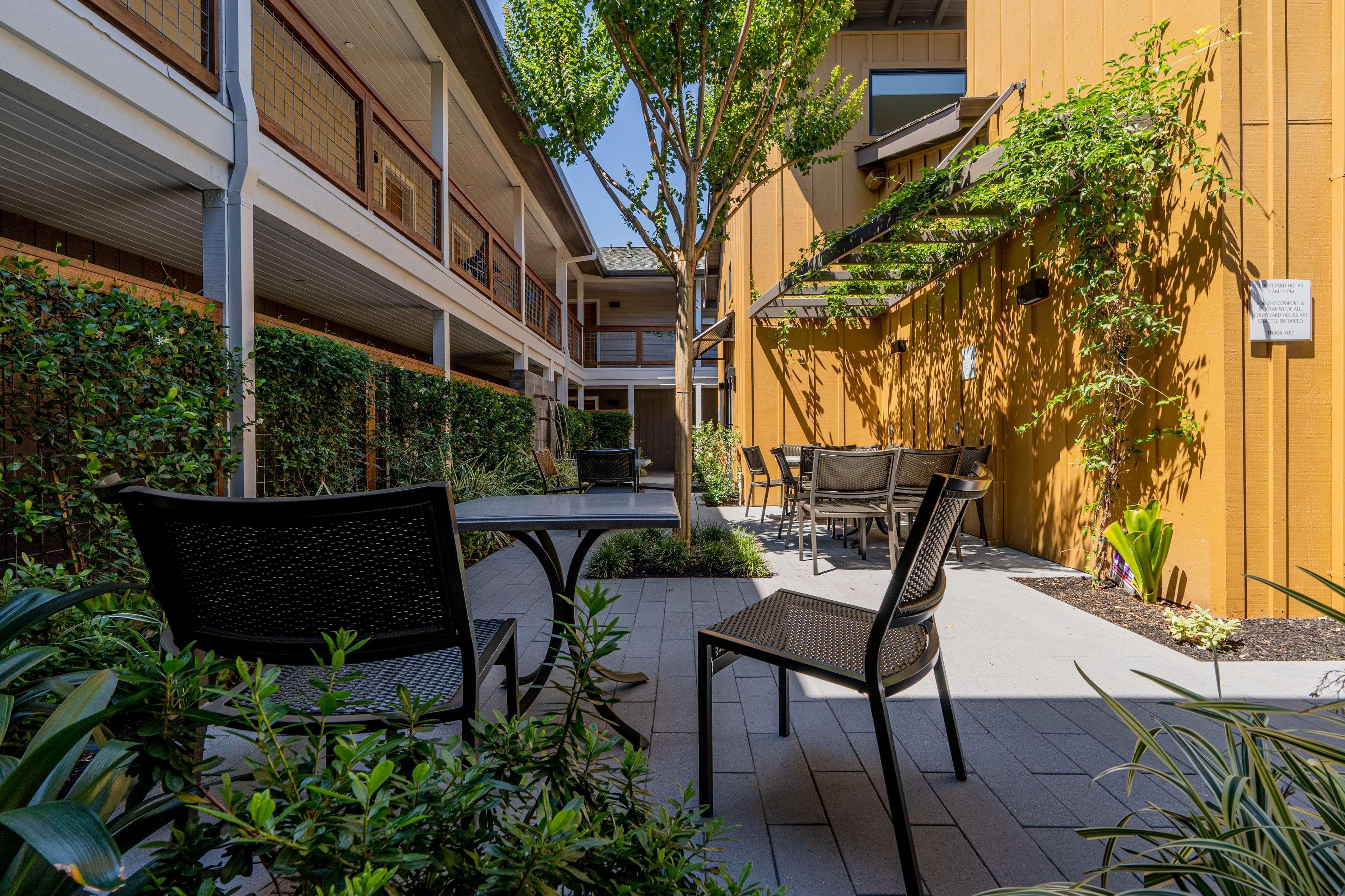 Best Western Plus Stevenson Manor Calistoga Eksteriør bilde